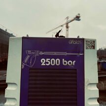 Atlantic performer (5