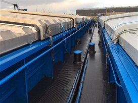 Duwbak Sierra Leone - liggend